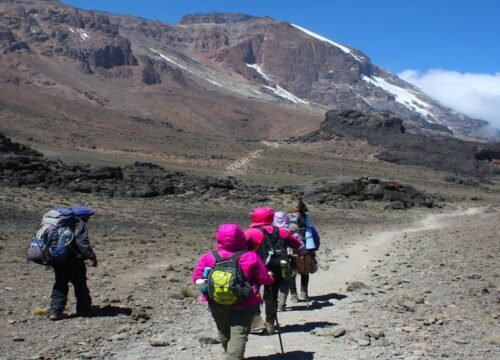 7 Days Rongai Route Kilimanjaro