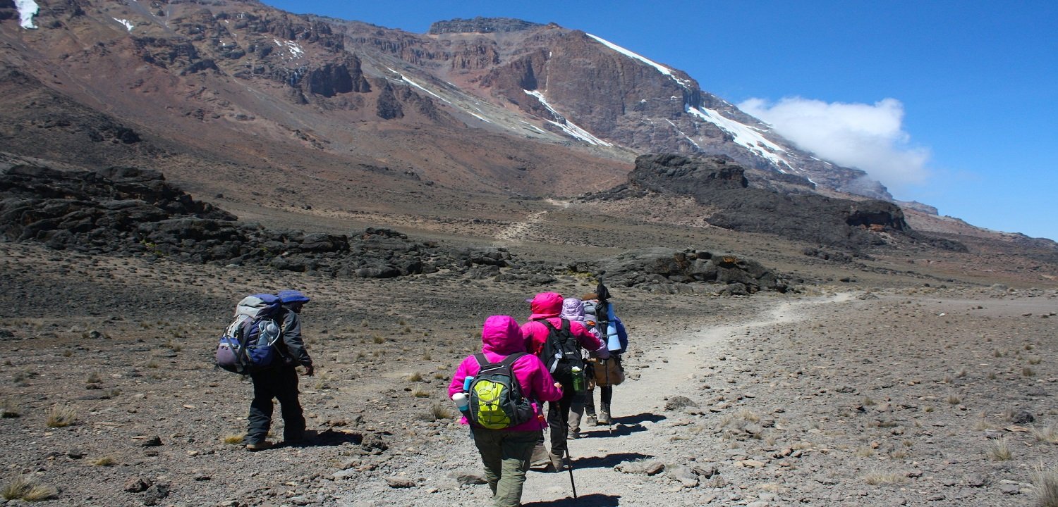 7 Days Rongai Route Kilimanjaro