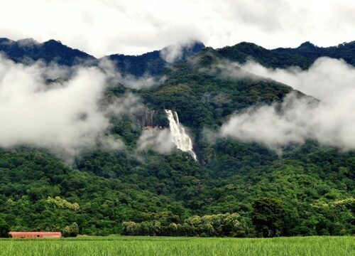 3-Day Mikumi & Udzungwa Safari Adventure