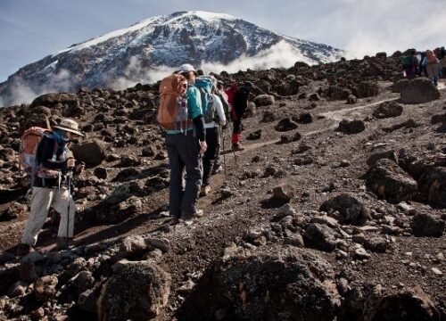 7 Days Umbwe Route Kilimanjaro Trekking