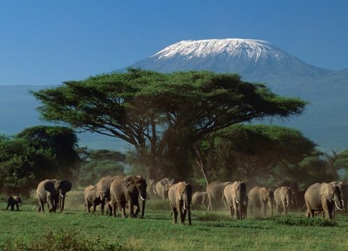 Day Trip to Arusha National Park