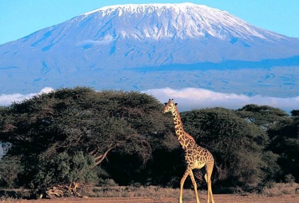 Kilimanjaro National Park