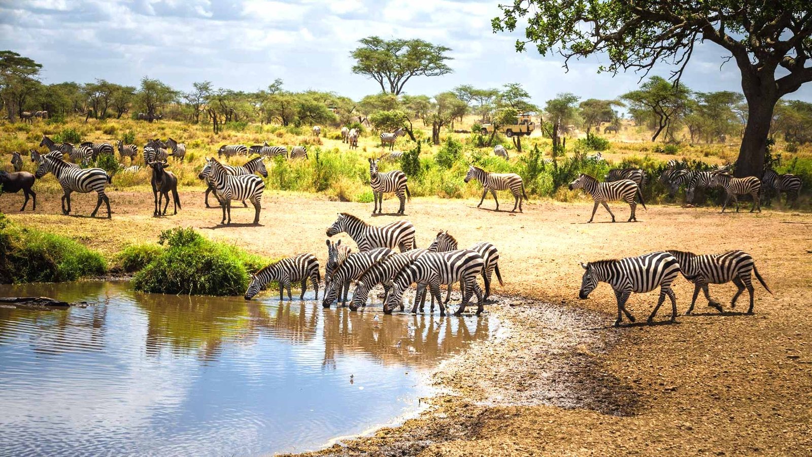 7-DAY TANZANIA SAFARI: TARANGIRE, NGORONGORO, SERENGETI & LAKE MANYARA